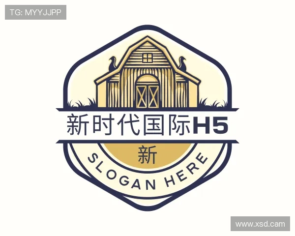 探究新时代国际h5